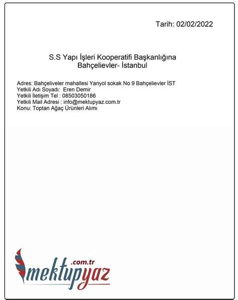 Yüz Yüze Nasıl Yazılır: İş ve İletişim Mektupları