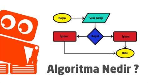 Algoritma Nedir: Bilgisayar Bilimlerinde Temel Kavram