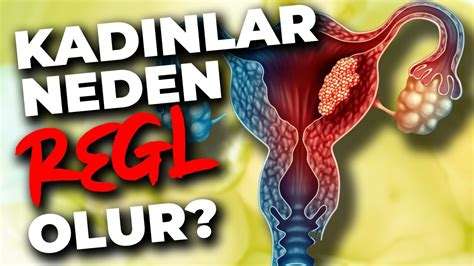 Regl Ağrısı Nasıl Geçer: Menstrüasyon Rahatlatma Yöntemleri