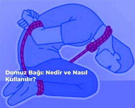 Domuz Bağı Nedir: Hastalıkların Bulaşmasını Engelleme