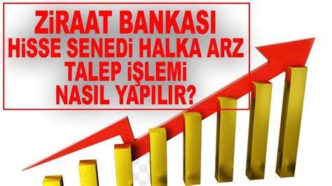 Halka Arz Nedir ve Nasıl Gerçekleşir?