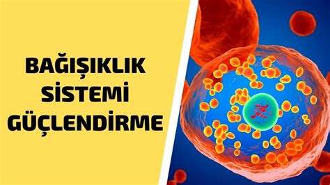 Bağışıklık sistemini güçlendirmek için ne iyi gelir?