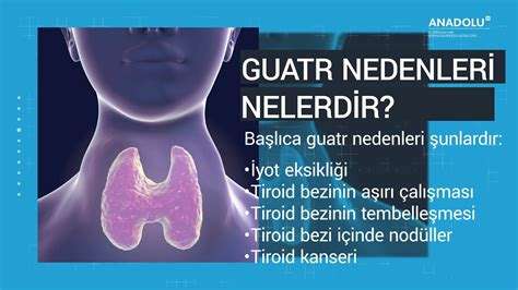 Guatr Nedir: Tiroid Bezindeki Anormal Büyüme